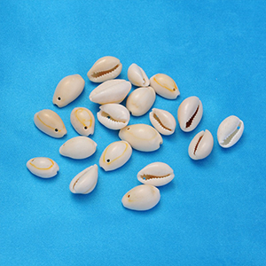 76636 Natural Cowrie Shell FOR JEWELLERY/DECORATION 12X10mm/50Pcs/ NATURAL COLOR, ,Material SEA SHELL,SUMMER,BEADS (0 0) ()