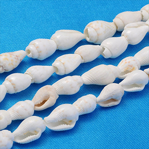 76947 Natural Cowrie Shell FOR JEWELLERY/DECORATION 8X5mm/160Pcs/ NATURAL COLOR, ,Material SEA SHELL,SUMMER, (0 0) ()