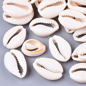 76949 Natural Cowrie Shell FOR JEWELLERY/DECORATION 22X15mm/50Pcs/ NATURAL COLOR, ,Material SEA SHELL,SUMMER, (0 0) ()