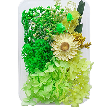 80710 DRIED FLOWERS  FOR DECORATION 20GR//1PCS/   MULTICOLOR,   ,MATERIAL ,, (2 0) ()