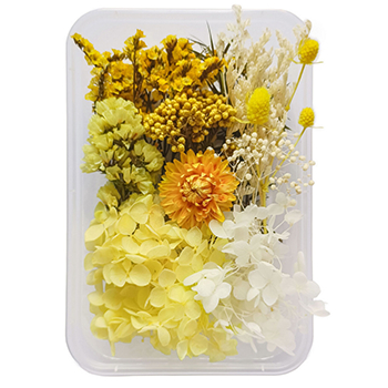 80711 DRIED FLOWERS  FOR DECORATION 20GR//1PCS/   MULTICOLOR,   ,MATERIAL ,, (2 0) ()