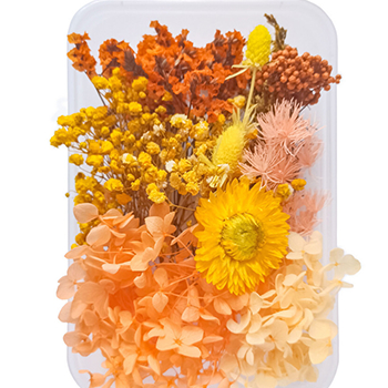 80712 DRIED FLOWERS  FOR DECORATION 20GR//1PCS/   MULTICOLOR,   ,MATERIAL ,, (3 0) ()