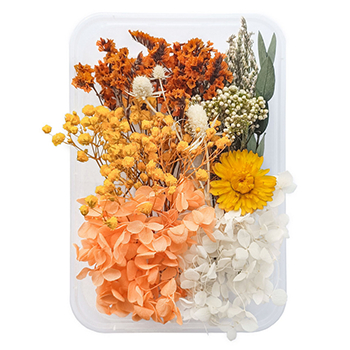 80713 DRIED FLOWERS  FOR DECORATION 20GR//1PCS/   MULTICOLOR,   ,MATERIAL ,, (1 0) ()