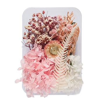 80714 DRIED FLOWERS  FOR DECORATION 20GR//1PCS/   MULTICOLOR,   ,MATERIAL ,, (3 0) ()