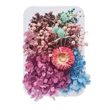 80715 DRIED FLOWERS  FOR DECORATION 20GR//1PCS/   MULTICOLOR,   ,MATERIAL ,, (2 0) ()