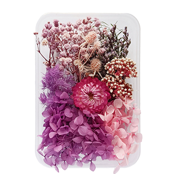 80716 DRIED FLOWERS  FOR DECORATION 20GR//1PCS/   MULTICOLOR,   ,MATERIAL ,, (4 0) ()