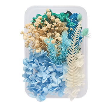 80718 DRIED FLOWERS  FOR DECORATION 20GR//1PCS/   MULTICOLOR,   ,MATERIAL ,, (1 0) ()
