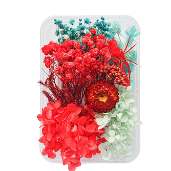 80719 DRIED FLOWERS  FOR DECORATION 20GR//1PCS/   MULTICOLOR,   ,MATERIAL ,, (2 0) ()