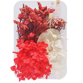 80720 DRIED FLOWERS  FOR DECORATION 20GR//1PCS/   MULTICOLOR,   ,MATERIAL ,, (4 0) ()