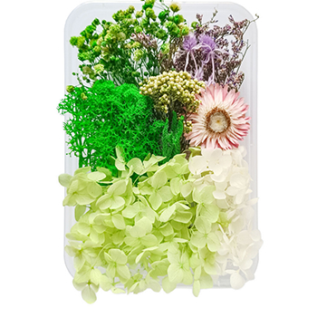 80739 DRIED FLOWERS  FOR DECORATION 20GR//1PCS/   MULTICOLOR,   ,MATERIAL ,, (4 0) ()