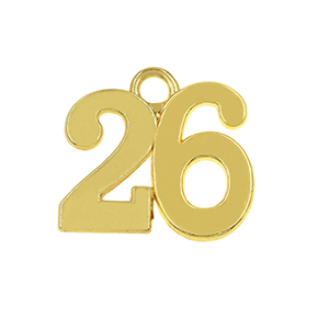 81997 Metal Lucky Charms  For Jewellery 25X28mm/1Pcs/   Gold Plated,   ,Material Alloy,Christmas,Charms (20 0) ()