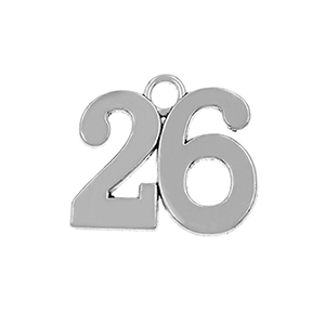 81998 Metal Lucky Charms  For Jewellery 25X28mm/1Pcs/   Antique Color,   ,Material Alloy,Christmas,Charms (20 8) ()
