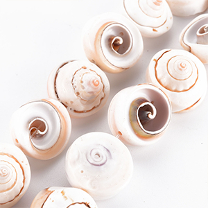 84073 Natural Freshwater Shell Beads  FOR JEWELLERY 16X10mm/11Pcs/   NATURAL COLOR,   ,Material ,BEADS (0 0) ()
