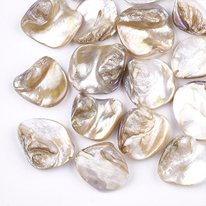 85339 Natural Shell Beads irregular shape  For Jewellery 19X16mm/20Pcs/   Natural Color,   ,Material , (30 0) ()