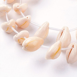 87241 Natural Cowrie Shell FOR JEWELLERY/DECORATION 18X13mm/26Pcs/ WHITE COLOR, ,Material SEA SHELL,SUMMER, (0 0) ()