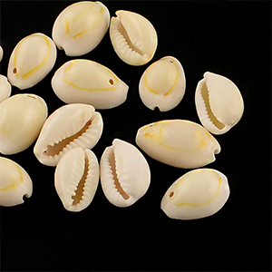 87242 Natural Cowrie Shell  FOR JEWELLERY/DECORATION 21mm//20Pcs/   Natural COLOR,   ,Material SEA SHELL,SUMMER, (0 0) ()
