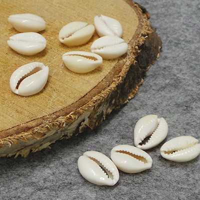 CH47549 Natural Cowrie Shell FOR JEWELLERY/DECORATION 18X13mm/50Pcs/ WHITE COLOR, ,Material SEA SHELL,SUMMER, (0 0) ()