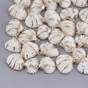 CH60277 Natural cowrie shell ,for jewelery/decoration 25mm//2pcs/ natural color,   ,material sea shell,summer, (0 0)